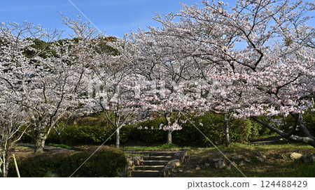 Takeno Kiba Park (Omura City, Nagasaki Prefecture) 124488429