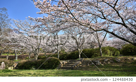 Takeno Kiba Park (Omura City, Nagasaki Prefecture) Takeno Kiba Park (Omura City, Nagasaki Prefecture) 124488430