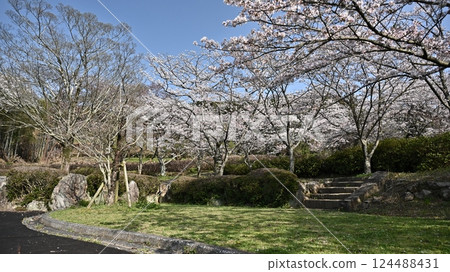 Takeno Kiba Park(長崎縣大村市) Takeno Kiba Park(長崎縣大村市) 124488431