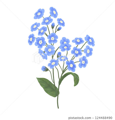 Bouquet of blue forget-me-nots, composition, handmade digital illustration on a white background. An element for the design Bouquet of blue forget-me-nots, composition, handmade digital illustration on a white background. An element for the design 124488490
