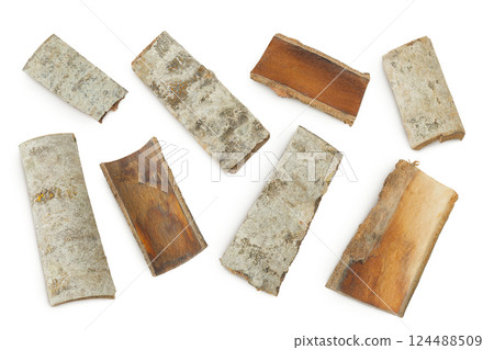 piece of aspen bark isolated on white background. Top view, flat lay 124488509