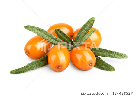 Sea buckthorn. Fresh ripe berry with leaves isolated on white background macro 124488527