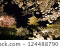 Toji Temple cherry light up 124488790