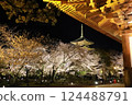 Toji Temple cherry light up 124488791