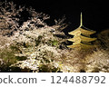 Toji Temple cherry light up 124488792