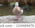 A duck looking at me 124489476
