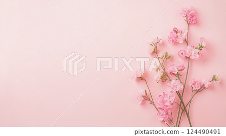 Carnations, flowers and buds lined up on a pink background 124490491