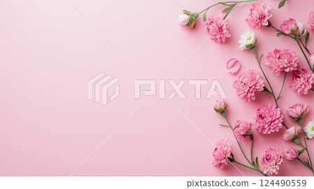 Carnations, flowers and buds lined up on a pink background 124490559