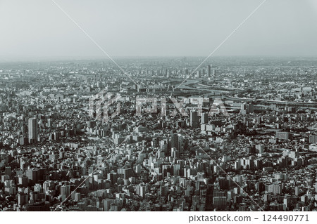 Aerial view of Tokyo dense urban landscape captured with a vintage film effect 124490771