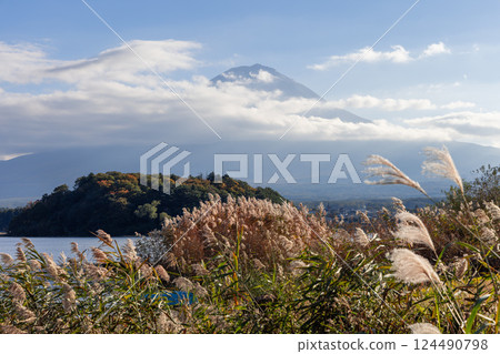 Mount Fuji is partially covered by misty clouds with golden reeds in foreground near Lake Kawaguchi Mount Fuji is partially covered by misty clouds with golden reeds in foreground near Lake Kawaguchi 124490798