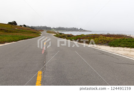 Coastal landscape in California 124491159