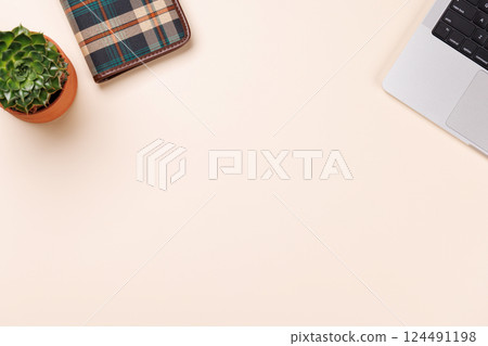 A clean and minimal desk setup featuring a laptop and plant A clean and minimal desk setup featuring a laptop and plant 124491198