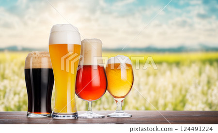 An assortment of beer glasses filled with different types of beer 124491224