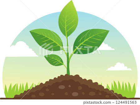 A green young plant growing in soil on nature background 124491563
