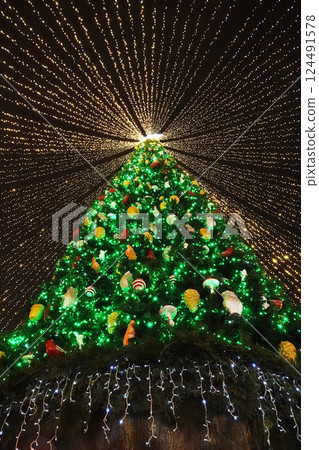 Central Christmas tree on the square of the city of Kiev for the New Year 2021 Central Christmas tree on the square of the city of Kiev for the New Year 2021 124491578