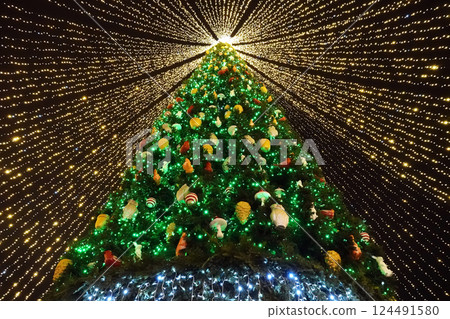 Central Christmas tree on the square of the city of Kiev for the New Year 2021 Central Christmas tree on the square of the city of Kiev for the New Year 2021 124491580