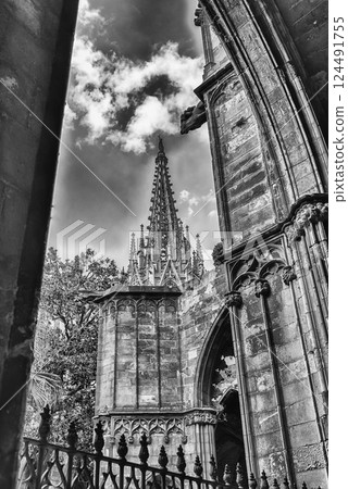 Scenic view of the Barcelona Cathedral, Catalonia, Spain 124491755