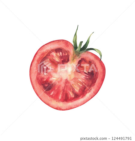 Sliced ripe red tomato with a green stem. Hand painted watercolor illustration of fresh vegetable, perfect for salads, harvest themes, food packaging and kitchen decor. Isolated from white background. 124491791