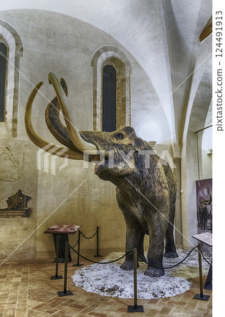 Mammoth featured in exhibition held in Gubbio, Italy 124491913