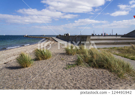 Oresund bridge seen from Amager beach park, Copenhagen, Denmark, sunny day 124491942