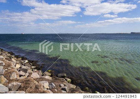 Oresund bridge seen from Amager beach park, Copenhagen, Denmark, sunny day Oresund bridge seen from Amager beach park, Copenhagen, Denmark, sunny day 124491943