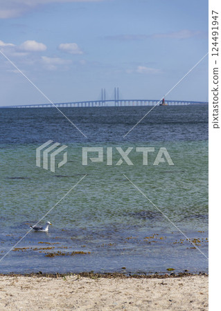 Oresund bridge seen from Amager beach park, Copenhagen, Denmark, sunny day 124491947