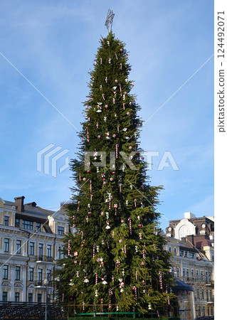 The central tree on the square of the city of Kiev for the New Year 2022 124492071