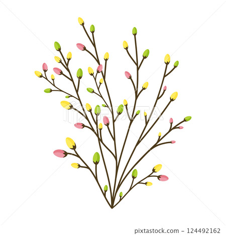 spring branch with swollen buds isolated on white background flat vector spring branch with swollen buds isolated on white background flat vector 124492162