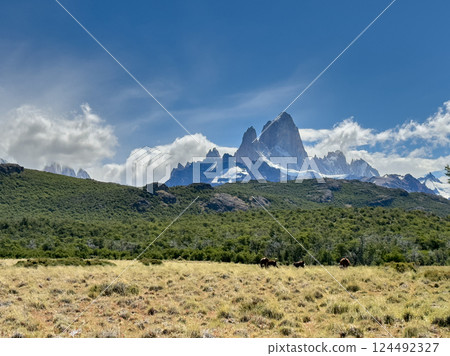 Mount Fitz Roy and horses in the grassland | Patagonia's pastoral landscape Mount Fitz Roy and horses in the grassland | Patagonia's pastoral landscape 124492327