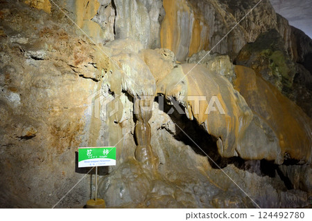 山口縣宮市中國地方秋吉台、秋吉堂、廣庭至千町田路線上的須賀柿子 124492780
