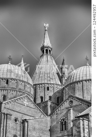 Domes of the Basilica of Saint Anthony in Padua, Italy 124492957