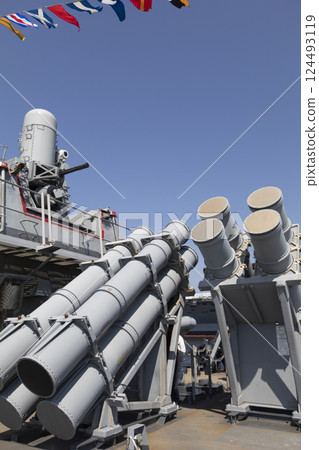 Harpoon missile launcher 124493119