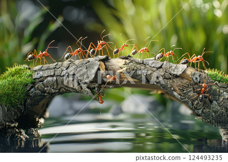 Group of ants are walking across a bridge. Group of ants are walking across a bridge. 124493235