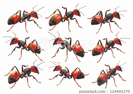 Row of red ants are shown in a row. 124493270