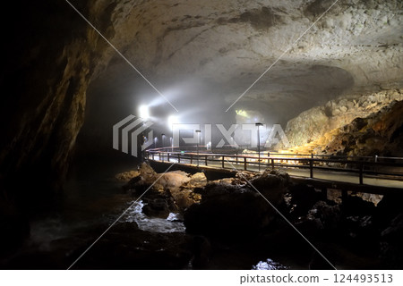 A wild route from Akiyoshidai, Akiyoshido, Hironiwa to Hyakumaizara in the Chugoku region, Miya City, Yamaguchi Prefecture 124493513