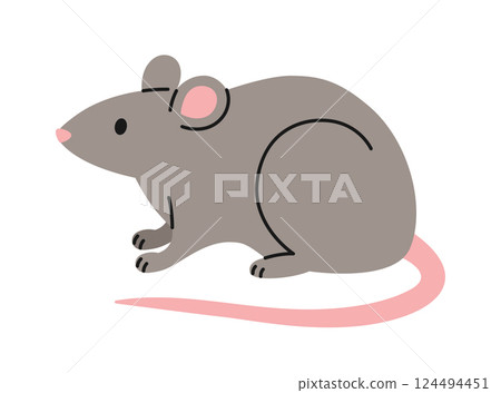 Cute grey rat sitting on white background. Domestic or wild animal in simple style. Adorable isolated pet. Vector flat illustration for pet shop, veterinary clinic 124494451