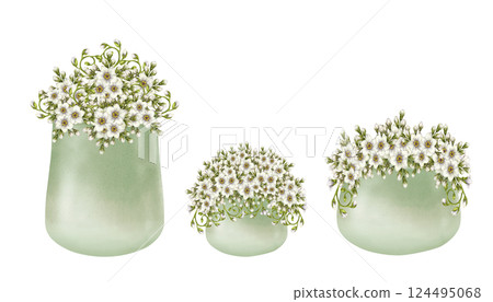 White flowers primroses in green ceramic pots. Watercolor illustration isolated on white. Floral set of foget-me-not, curly green leaves in flower pots hand-drawn botanical style for spring design. White flowers primroses in green ceramic pots. Watercolor illustration isolated on white. Floral set of foget-me-not, curly green leaves in flower pots hand-drawn botanical style for spring design. 124495068