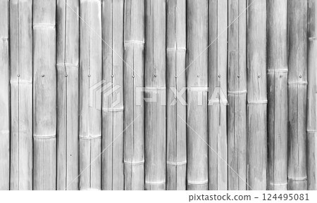 White bamboo fence, close up seamless background photo texture 124495081