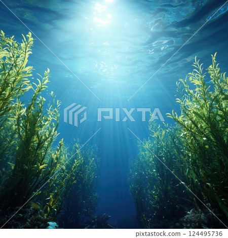Tranquil Underwater Kelp Forest with Gentle Sunbeams in Clear Blue Water A Dreamlike Oasis 124495736