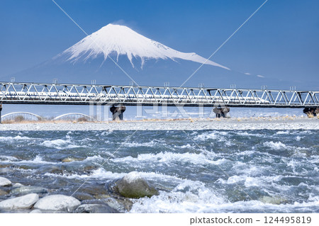 Shinkansen crossing the Fuji River bridge 124495819