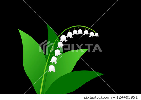 Lily of the valley 124495951