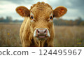 Cow standing in pen on farm during foot-and-mouth disease outbreak. created with Generative AI technology. 124495967