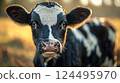 Cow standing in pen on farm during foot-and-mouth disease outbreak. created with Generative AI technology. 124495970
