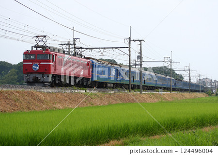 Sleeper Express Hokutosei (pulled by EF81) 124496004