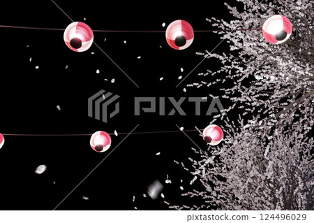 櫻花樹上掛著燈籠,隨風搖曳,花瓣翩翩起舞 櫻花樹上掛著燈籠,隨風搖曳,花瓣翩翩起舞 124496029