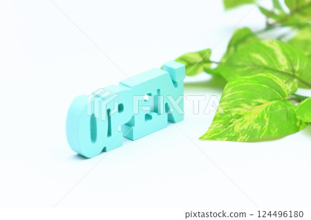 Image of opening 124496180