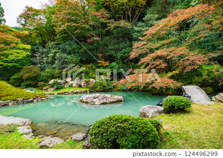 京都的秋天:青蓮院、相阿彌陀寺 京都的秋天:青蓮院、相阿彌陀寺 124496299