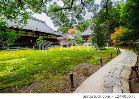 Autumn in Kyoto, Shoren-in Temple, Cherry blossoms on the left and oranges on the right in front of the Shinden Hall 124496573