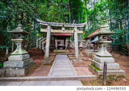 Autumn in Kyoto: Shoren-in Temple, Hiyoshi Shrine 124496593
