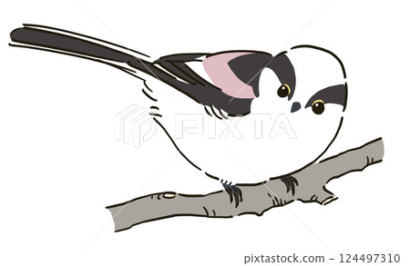 一隻長尾山雀棲息在樹枝上的插圖 124497310